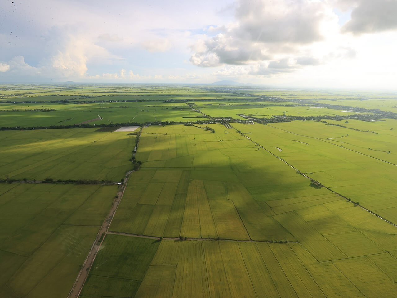 SEV Vietnam Supports a High-Tech Clean Vegetable Farming Project